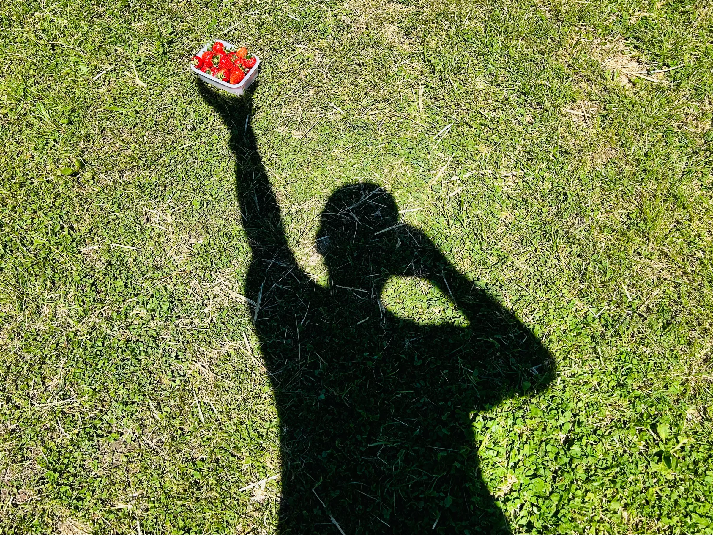 Strawberry Fields Forever!